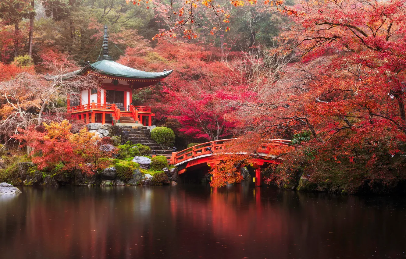Фото обои осень, лес, мост, река, Япония, храм, Japan, forest