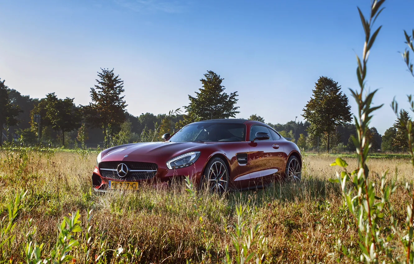 Фото обои car, Mercedes, nature, AMG, GT S, Edition One