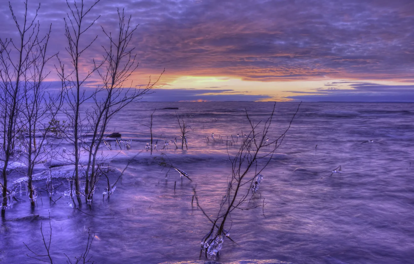 Фото обои лед, зима, небо, облака, деревья, закат, оранжевый, озеро