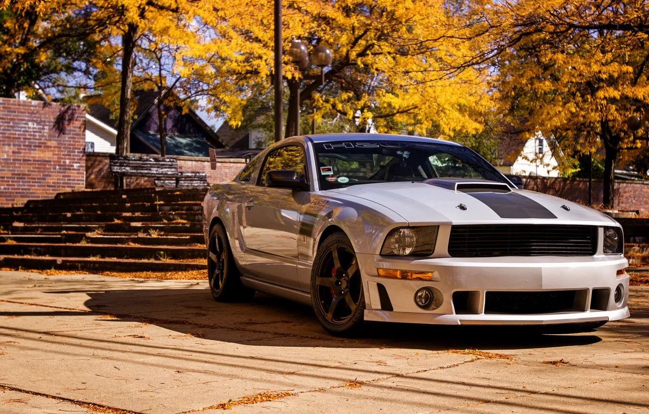 Фото обои Mustang, Ford, мустанг, 2012, форд, Roush, 427R