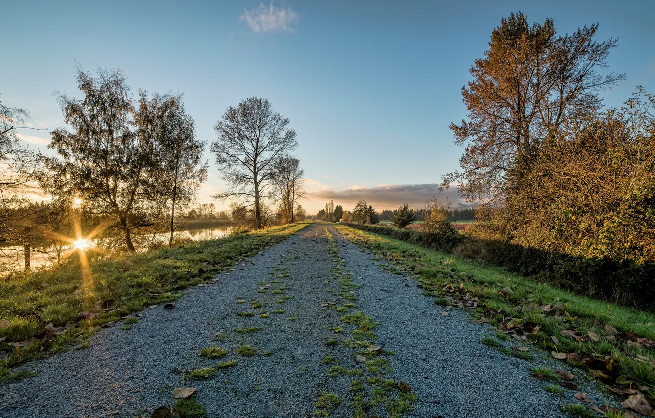 Фото обои дорога, осень, закат, озеро, парк, река