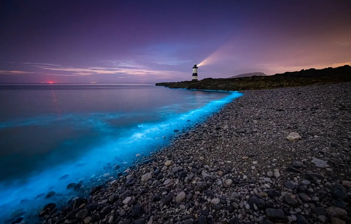 Фото обои sea, evening, lighthouse, bioluminescence