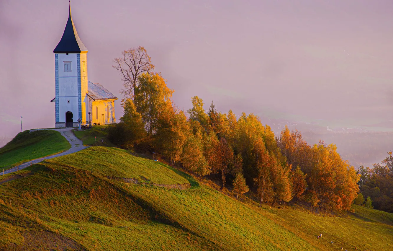 Фото обои осень, деревья, пейзаж, природа, туман, склон, холм, церковь