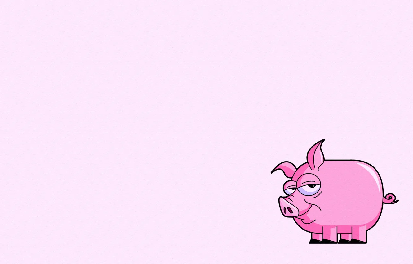 Фото обои розовый, минимализм, хвост, свинья, pig