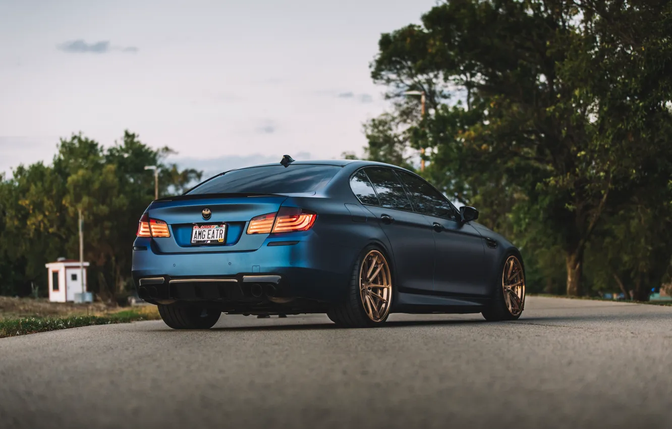 Фото обои bmw, blue, f10, backside, m5