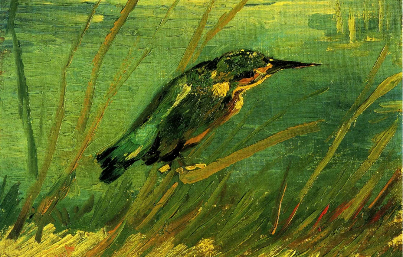 Фото обои клюв, сорока, Винсент ван Гог, The Kingfisher