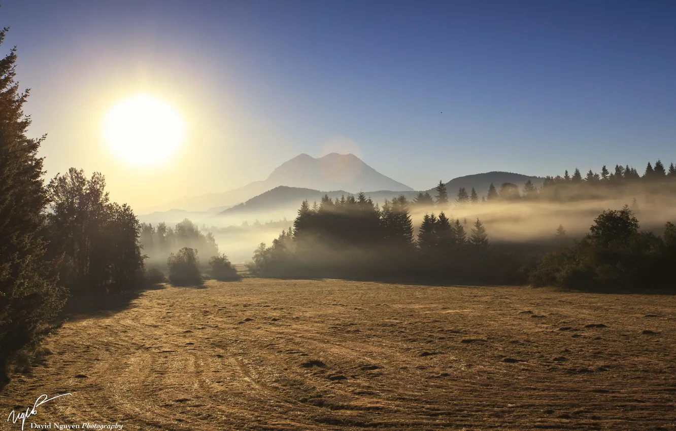 Фото обои поле, пейзаж, туман, утро