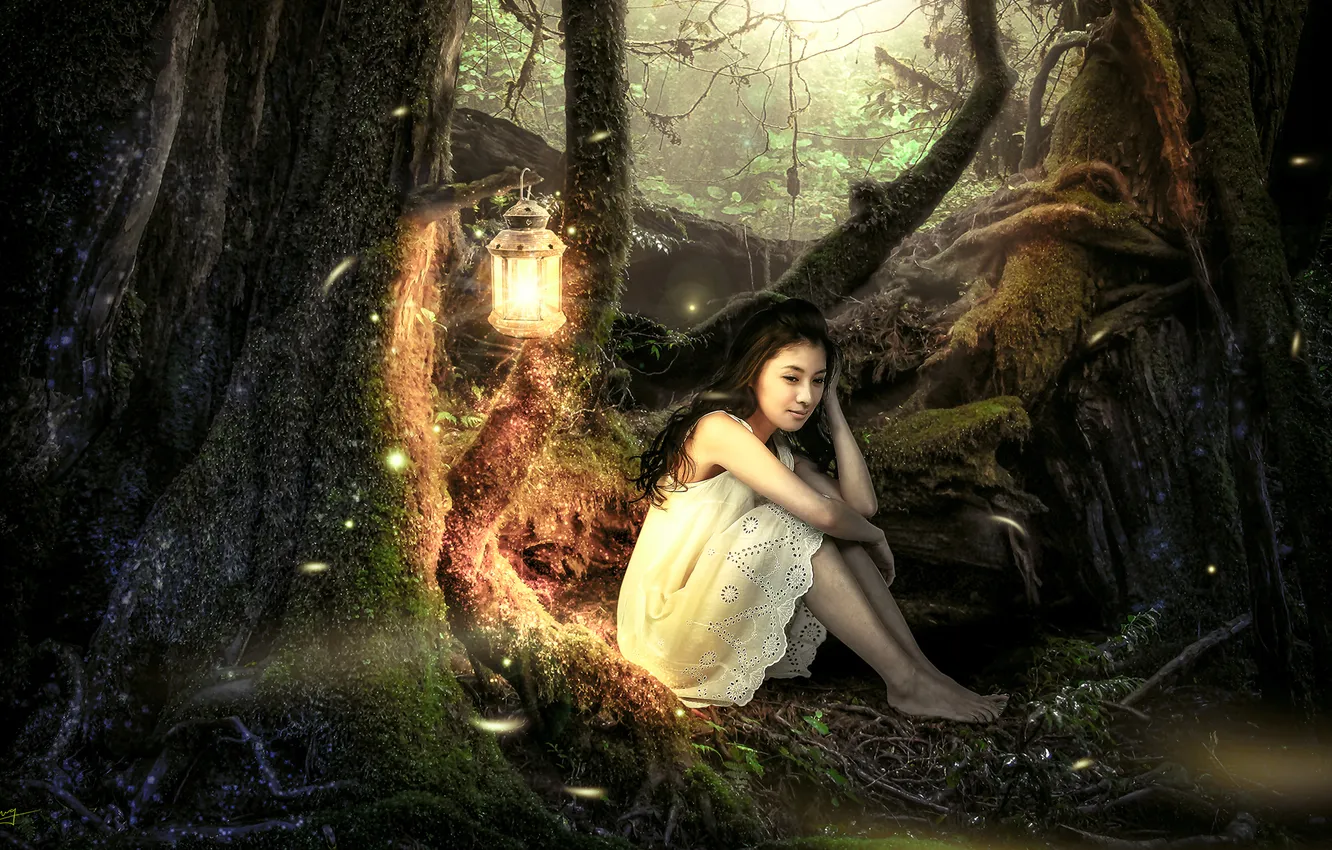 Фото обои лес, девушка, деревья, фонарь