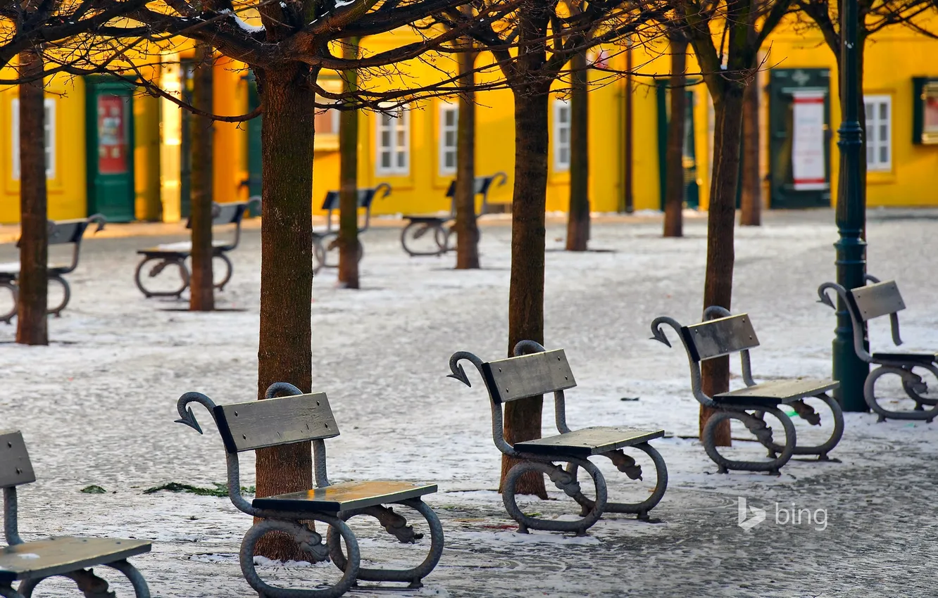 Фото обои снег, деревья, Прага, Чехия, аллея, скамья, остров Кампа