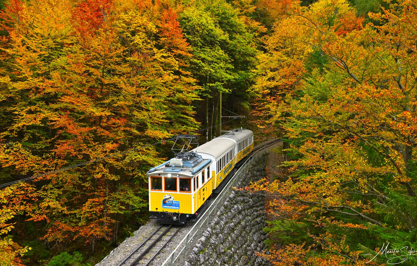 Фото обои осень, лес, деревья, поезд, железная дорога, Germany, Wendelstein Rack Railway, Maarten Schoubben