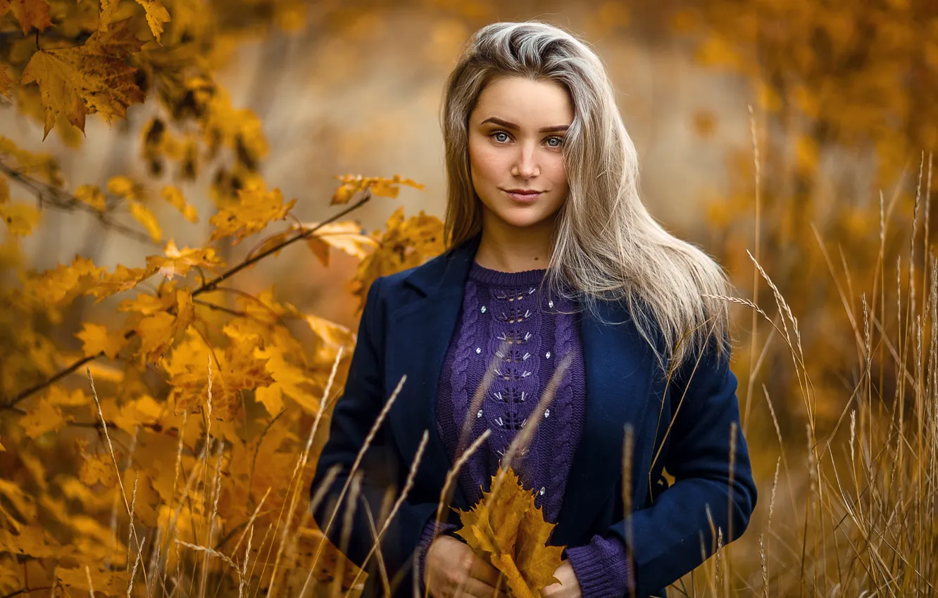 Фото обои осень, взгляд, листья, девушка, блондинка, Сергей Сорокин