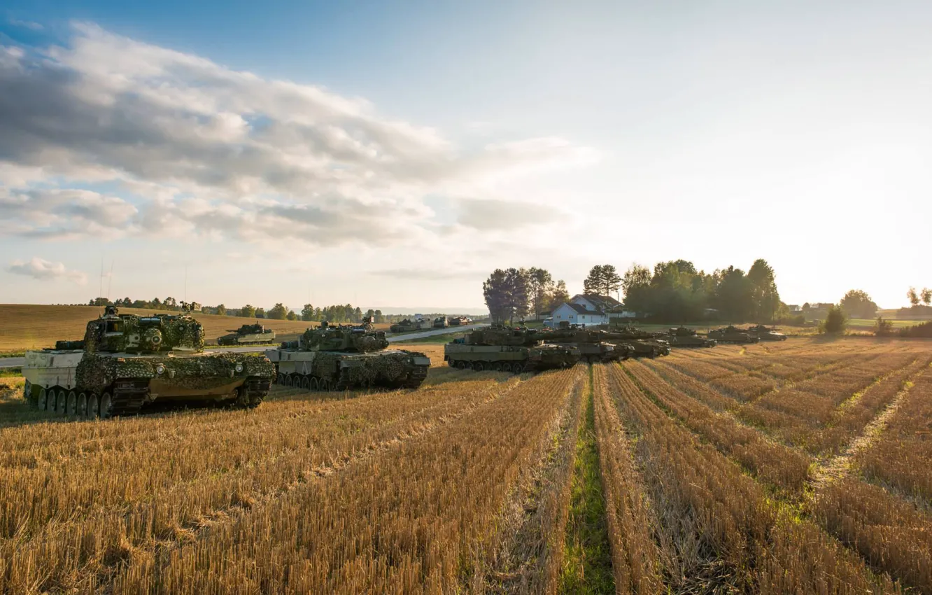 Фото обои поле, Танки, бронетехника, Leopard 2A