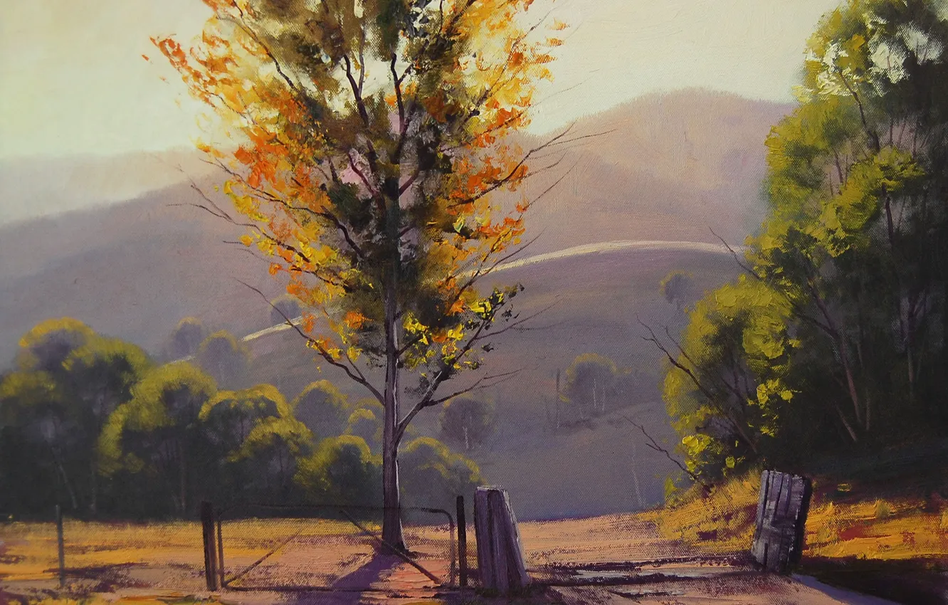 Фото обои Рисунок, Арт, Artsaus, Afternoon Kanimbla Valley
