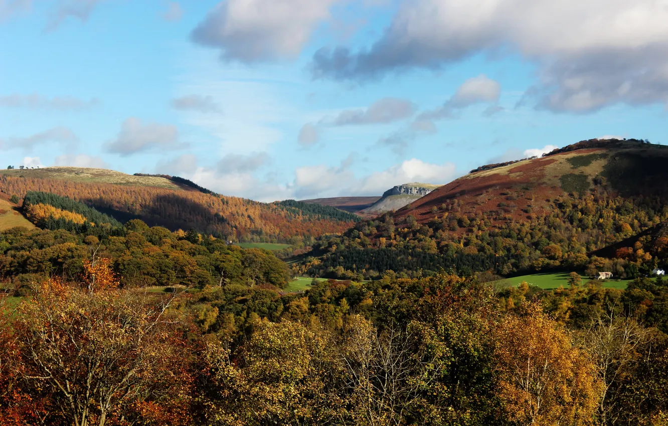 Фото обои поле, лес, облака, горы, Великобритания, Llangollen