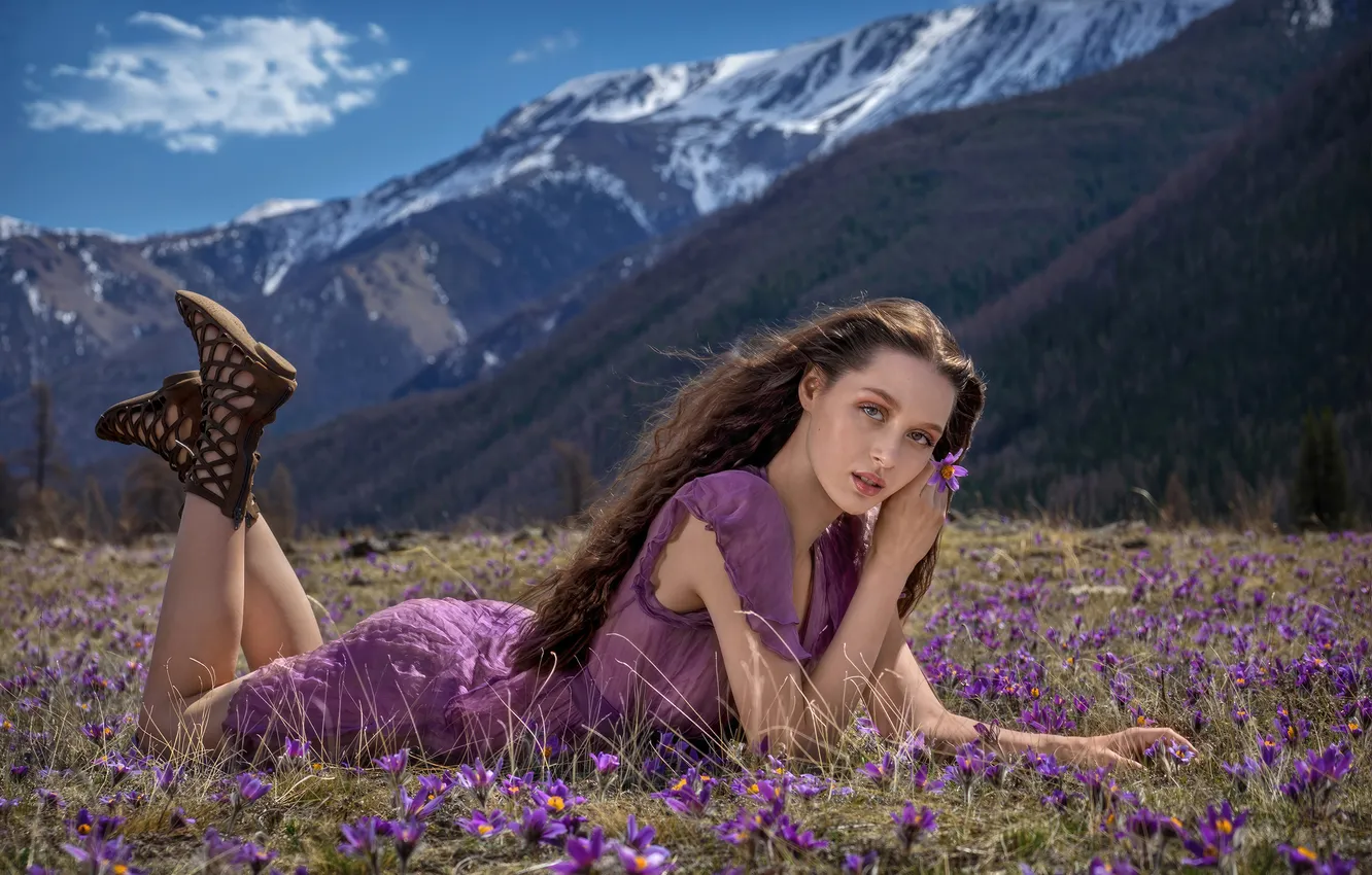 Фото обои field, lavender, lying, gir