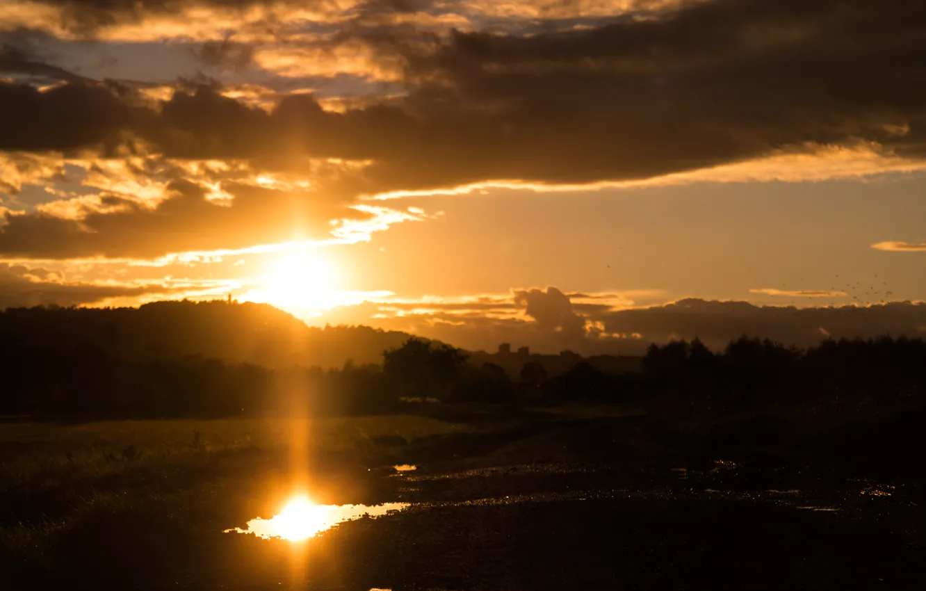 Фото обои Glow, Sun, Water, Sunset, Road, Reflection