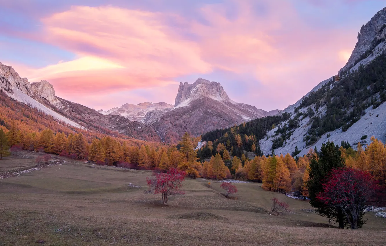 Фото обои поле, осень, лес, облака, снег, деревья, горы, скалы