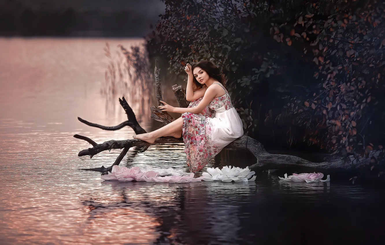 Фото обои вода, девушка, природа, платье, брюнетка, коряга, кусты, Олеся Ефанова