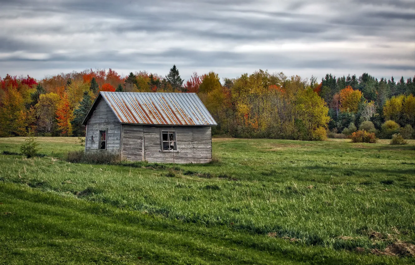 Фото обои поле, осень, дом