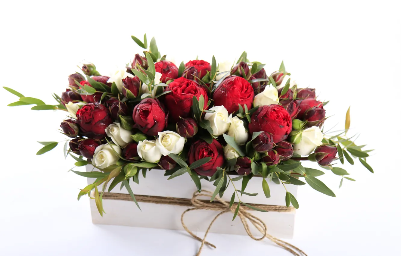 Фото обои капли, цветы, розы, красные, Roses, drops