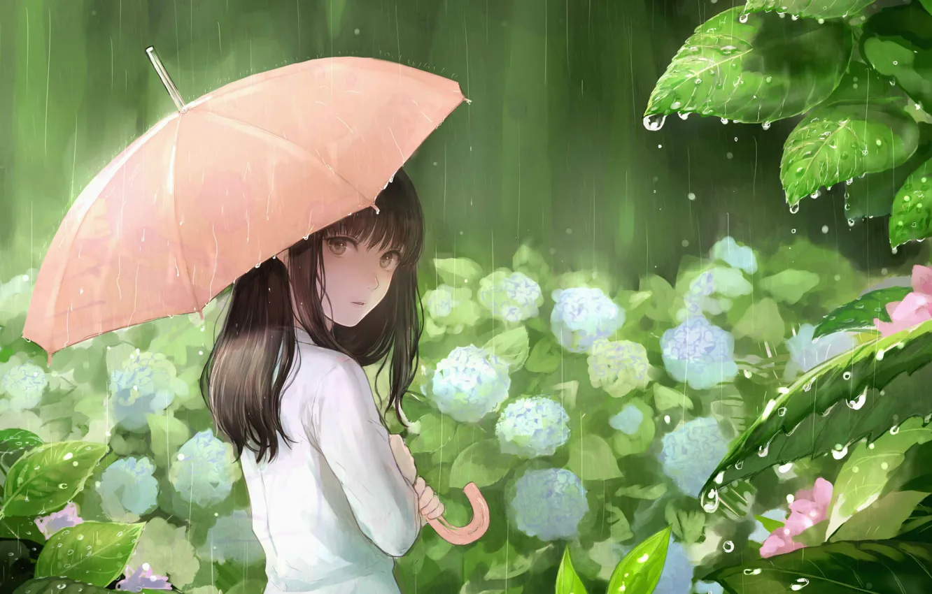 Фото обои листья, капли, дождь, зонт, девочка, гортензия, sankarea