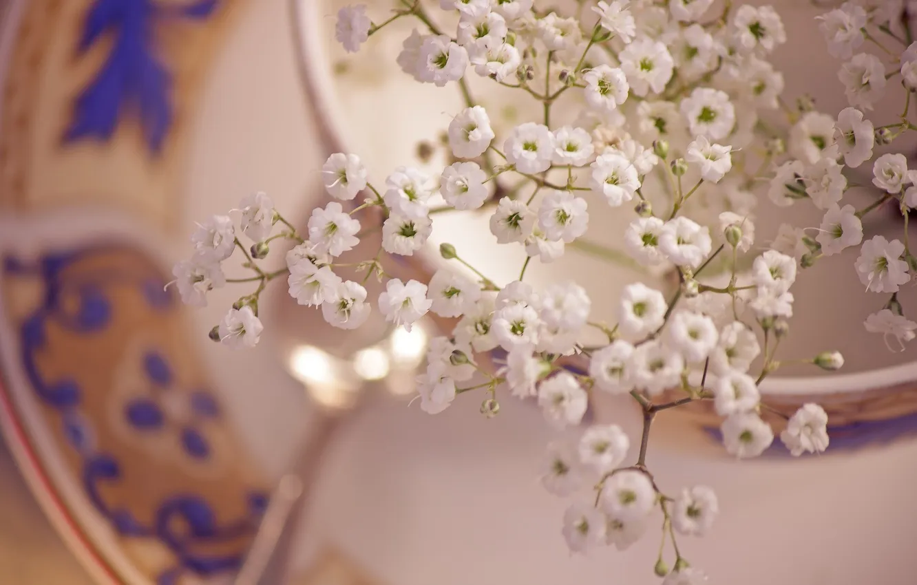 Фото обои макро, цветы, кружка, белые, чайная пара