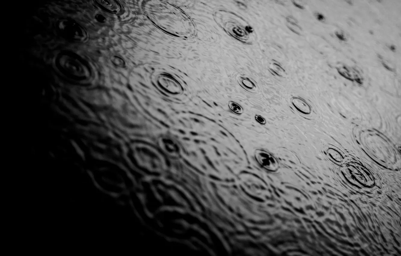 Фото обои вода, капли, макро, фото, дождь, настроение, обои, ч/б