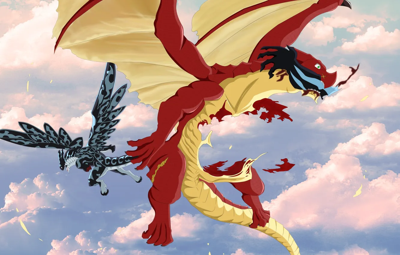 Фото обои драконы, Fairy Tail, Хвост феи