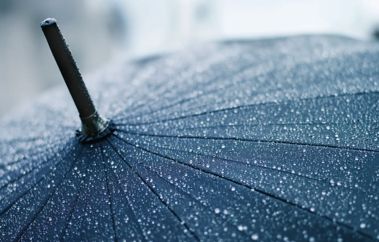 Фото обои капли, макро, зонтик, дождь, зонт