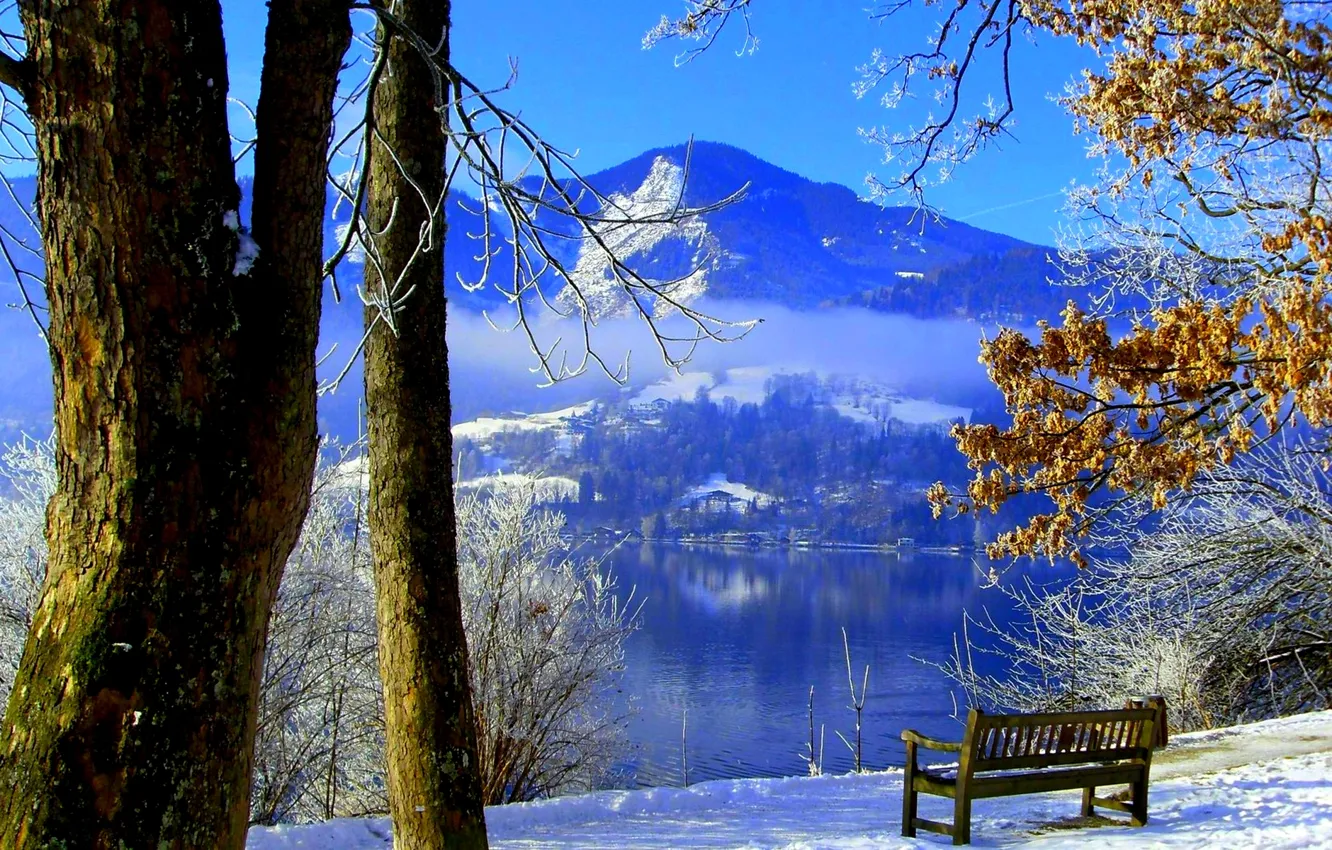 Фото обои зима, небо, снег, деревья, горы, озеро, парк, скамья