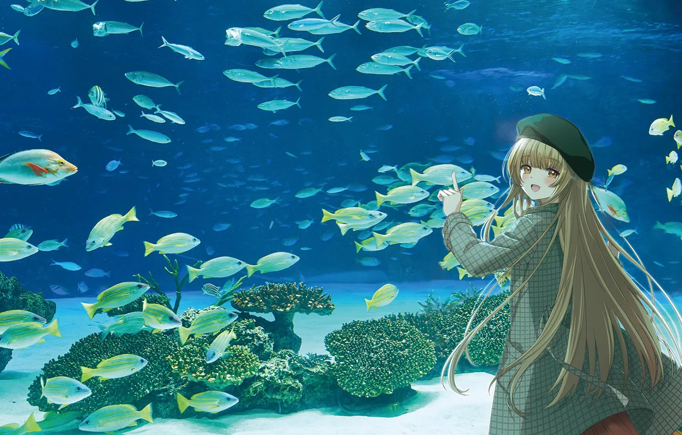 Фото обои девушка, рыбы, океанариум, Otonari no Tenshi-sama ni Itsunomanika Dame Ningen, Mahiru Shiina