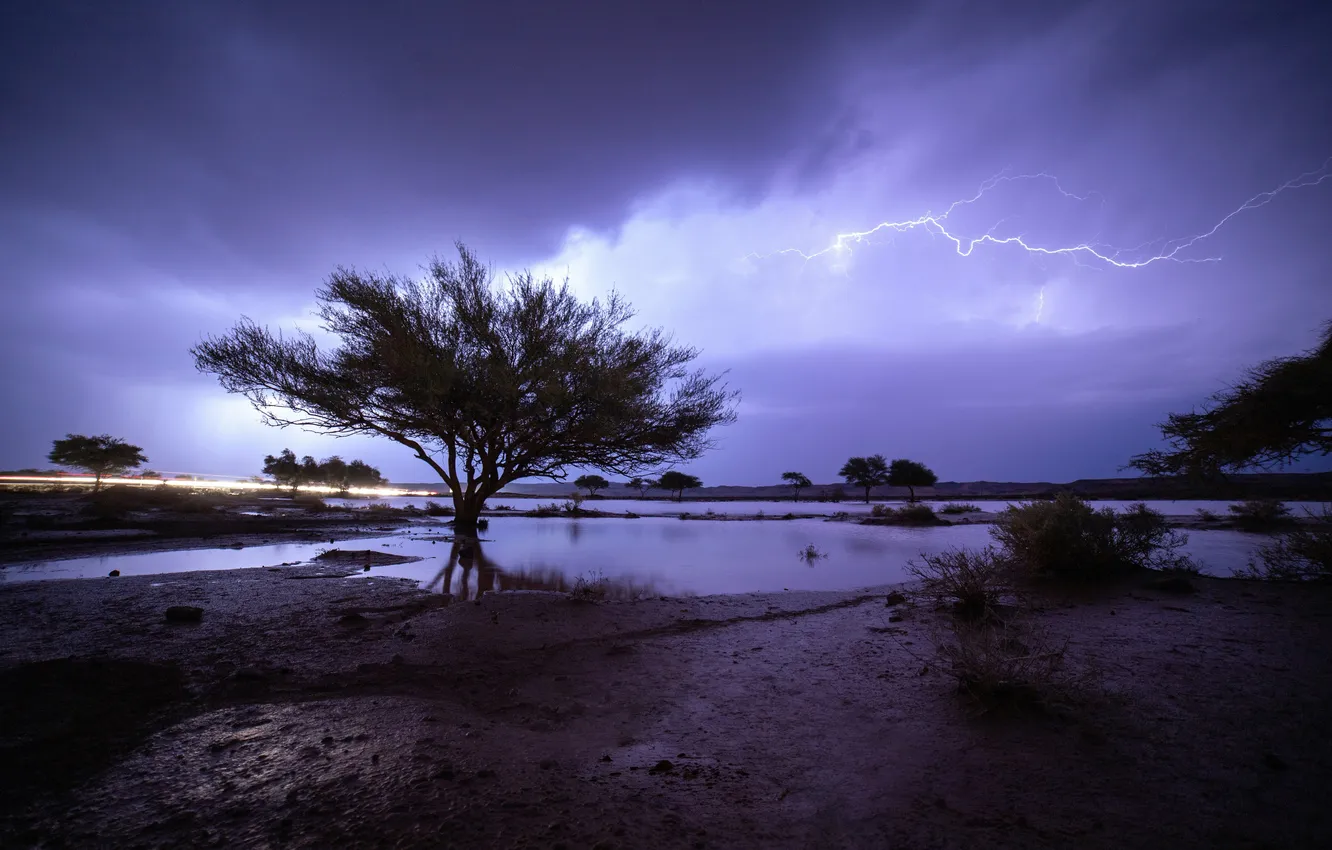 Фото обои Дерево, Молния, Дождь, Гроза, Rain, Saudi Arabia, Nights, Саудовская Аравия