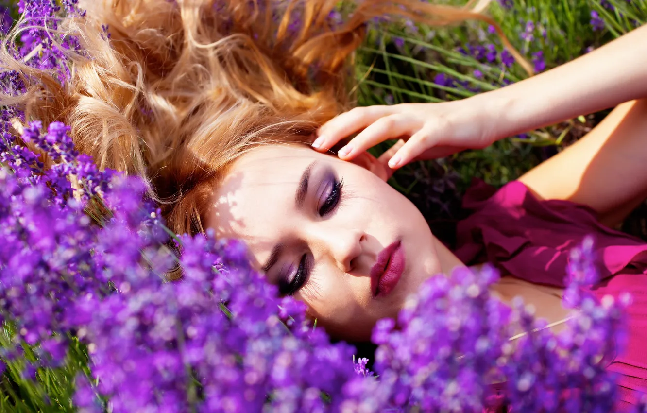 Фото обои поле, девушка, цветы, отдых, лежит, лаванда