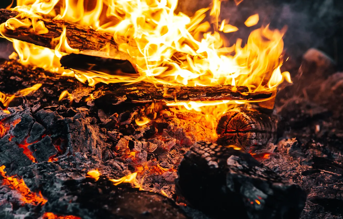 Фото обои пламя, дрова, костёр, угольки