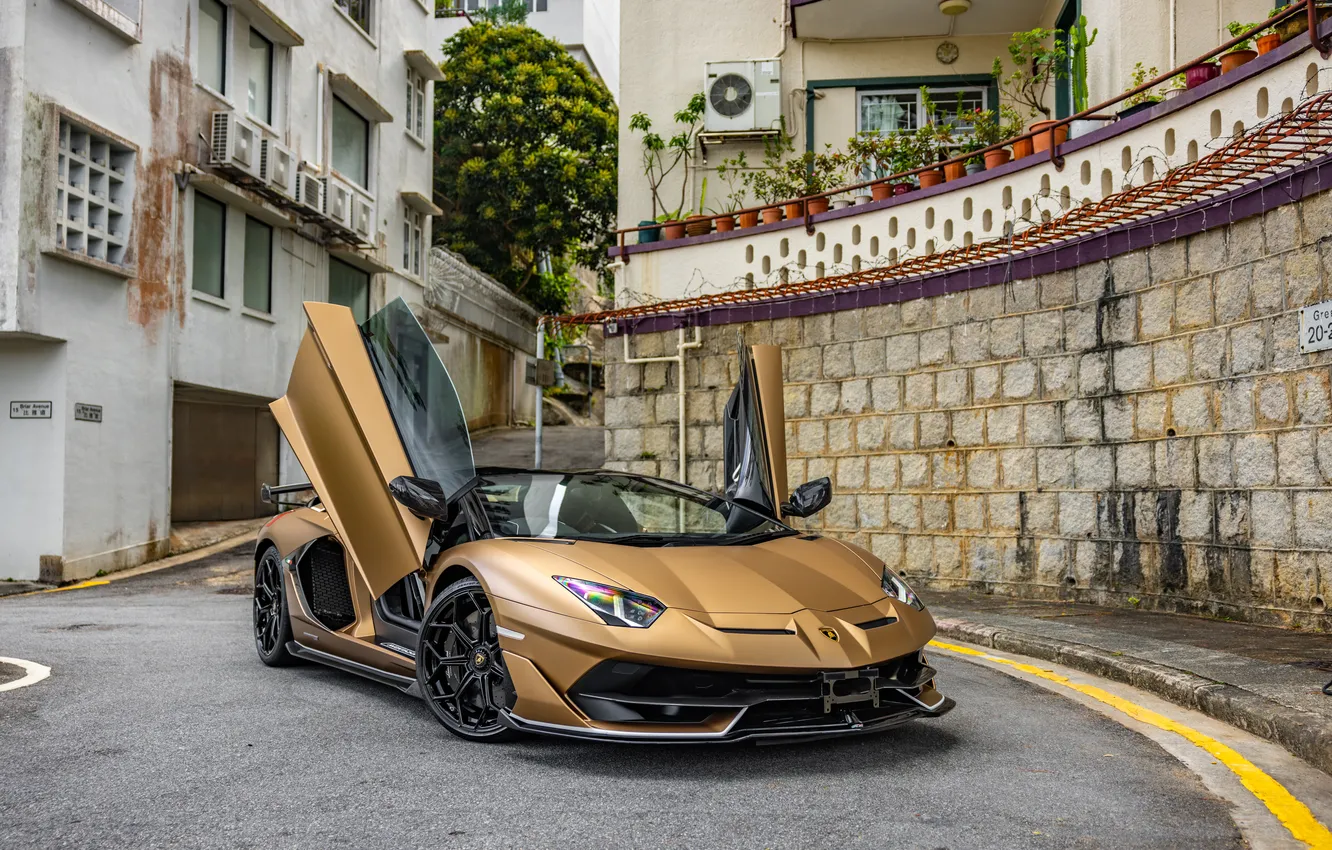 Фото обои Roadster, Lamborghini, Aventador, Lamborghini Aventador, Road, Supercar, Open Doors, Lamborghini Aventador SVJ Roadster