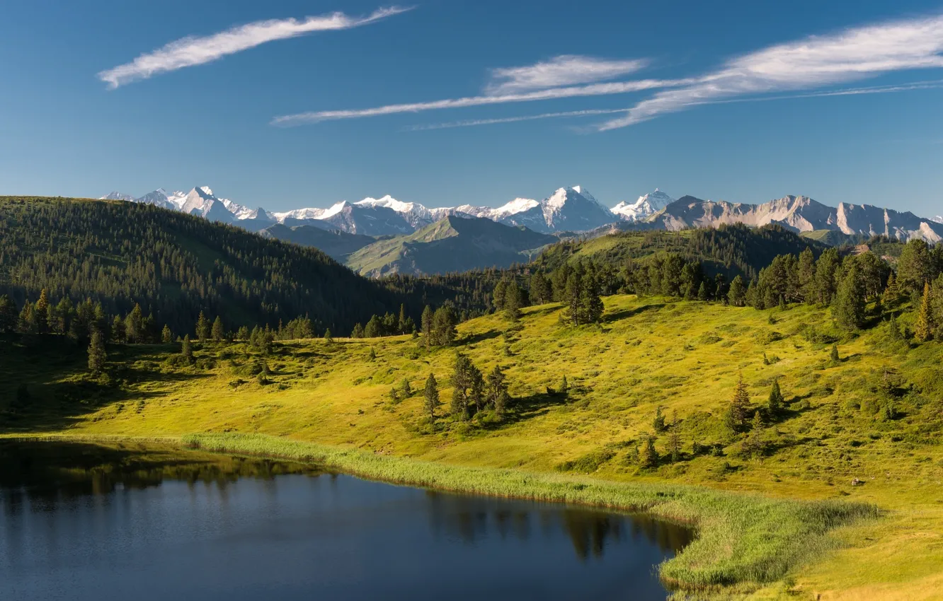 Фото обои лес, деревья, горы, озеро, Швейцария, Альпы, Switzerland, Alps