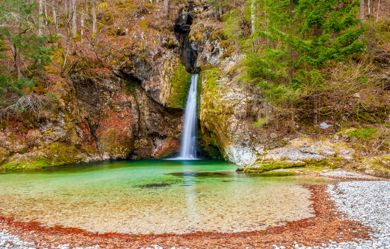 Фото обои лес, скала, камни, водопад, мох, Словения, Bohinj, Grmecica waterfall