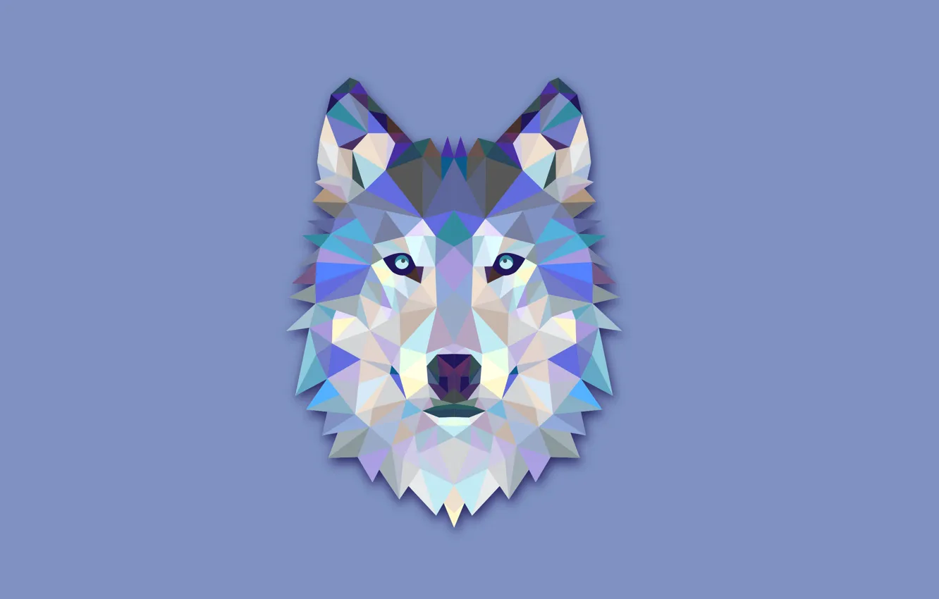 Фото обои абстракция, волк, минимализм, голова, светлый фон, wolf