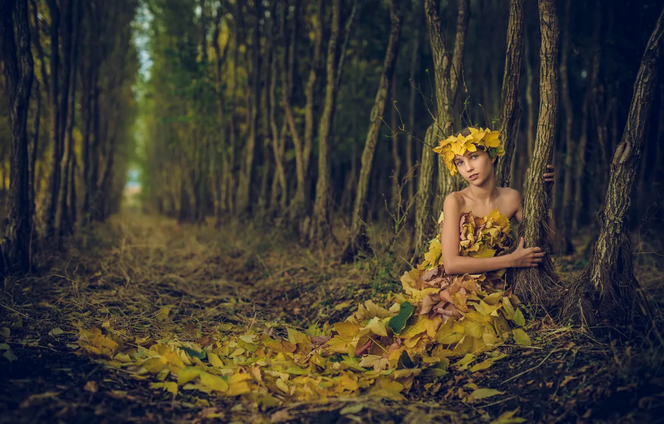 Фото обои лес, листья, девочка, Иван Славов