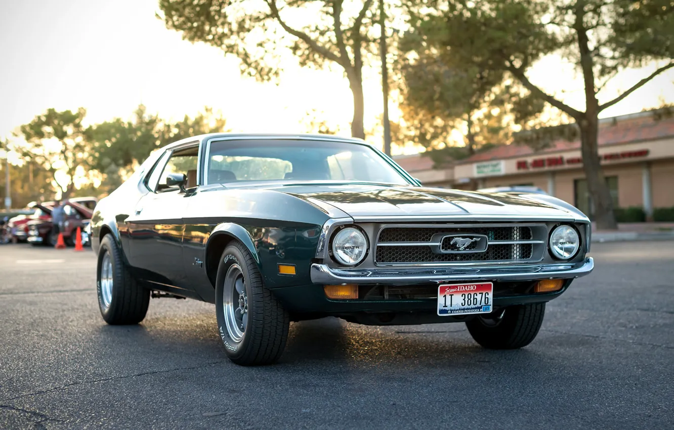 Фото обои ретро, Mustang, Ford, классика, передок