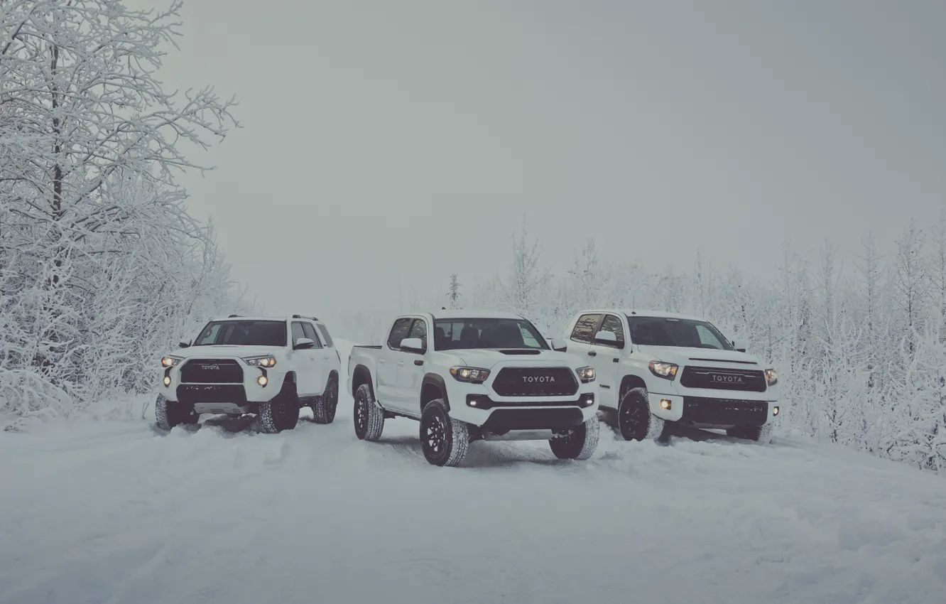 Фото обои зима, снег, white, Toyota, пикап, snow, pickup, TRD