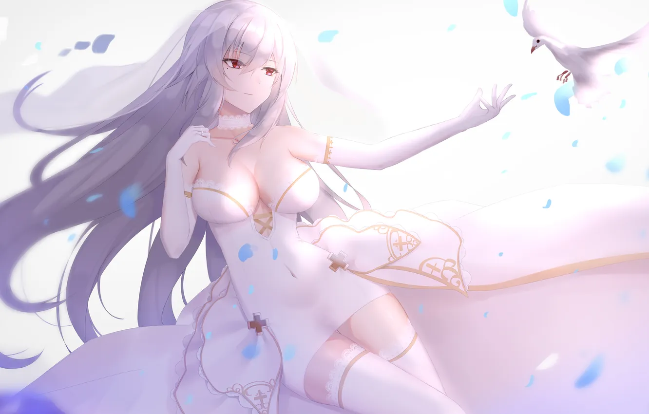Фото обои девушка, птица, голубь, Azur Lane
