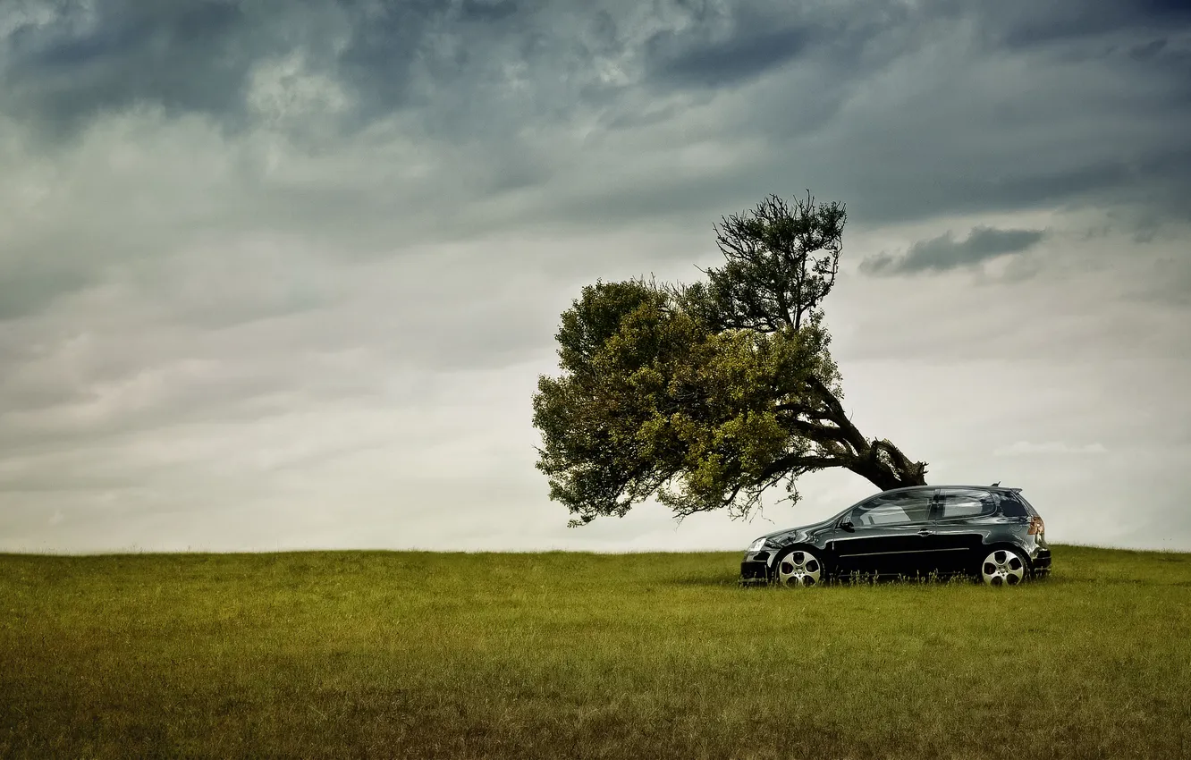 Фото обои поле, небо, природа, дерево, Volkswagen, диски, black