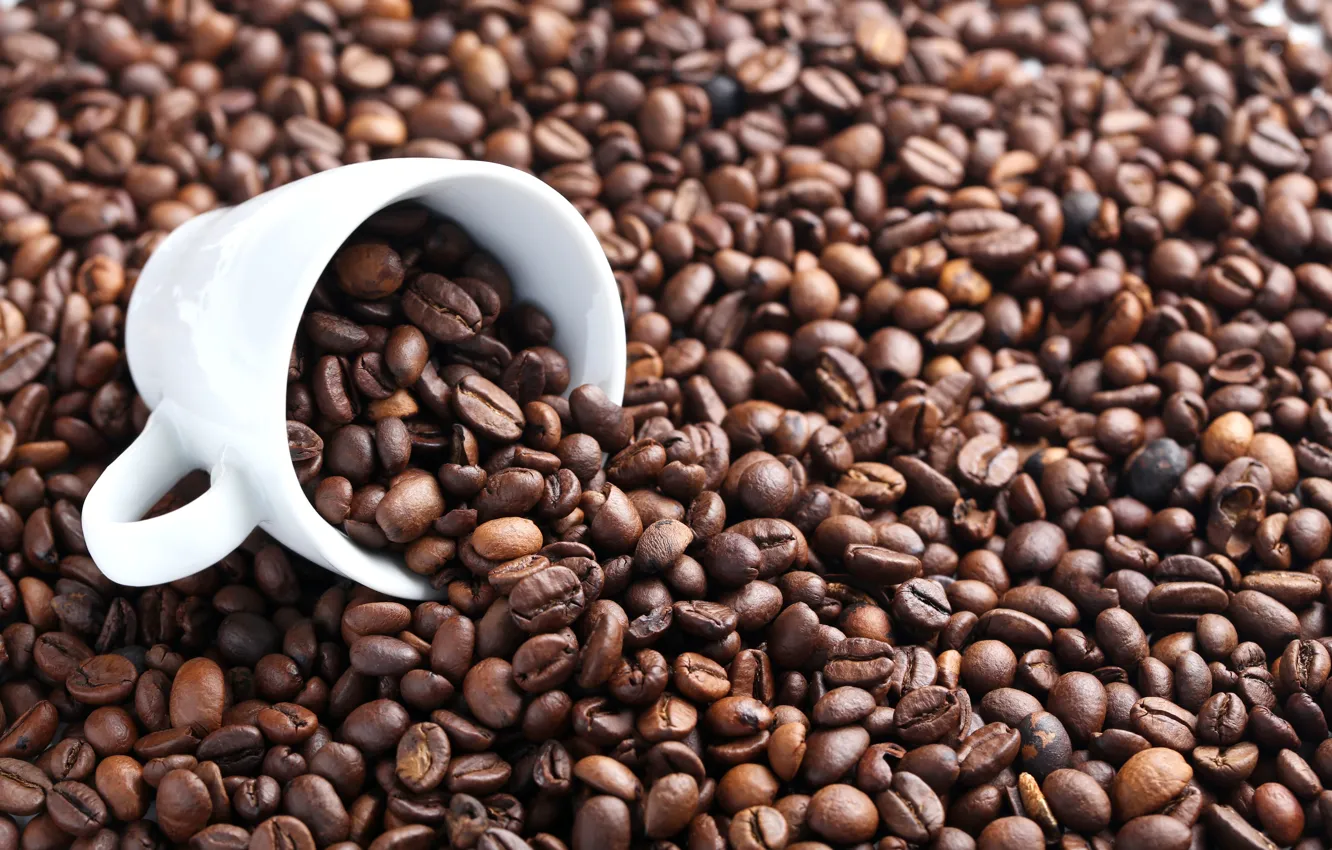 Фото обои кофе, чашка, coffee beans