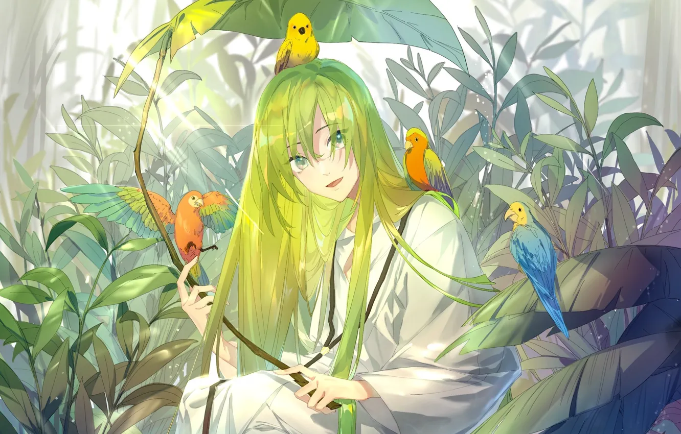 Фото обои природа, аниме, арт, попугаи, Fate / Grand Order