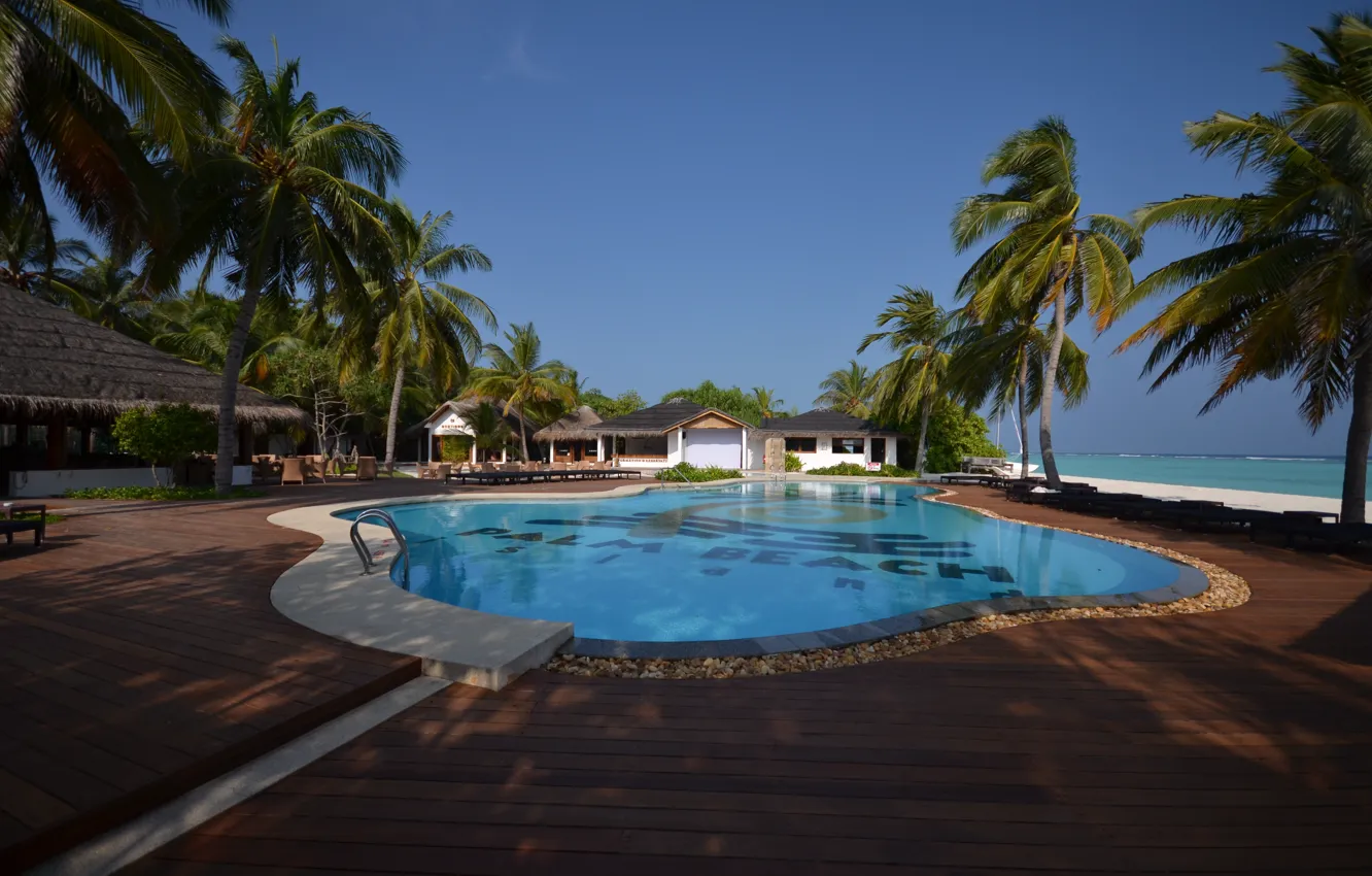 Фото обои пальмы, океан, бассейн, курорт