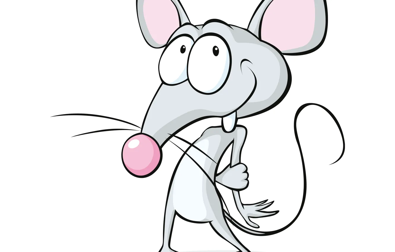 Фото обои мышка, белый фон, смущение, mouse, white background, confusion