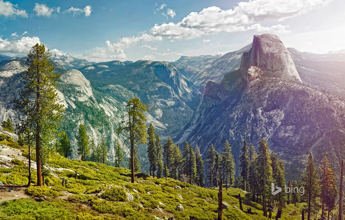 Фото обои снег, деревья, горы, природа, Калифорния, США, Yosemite National Park