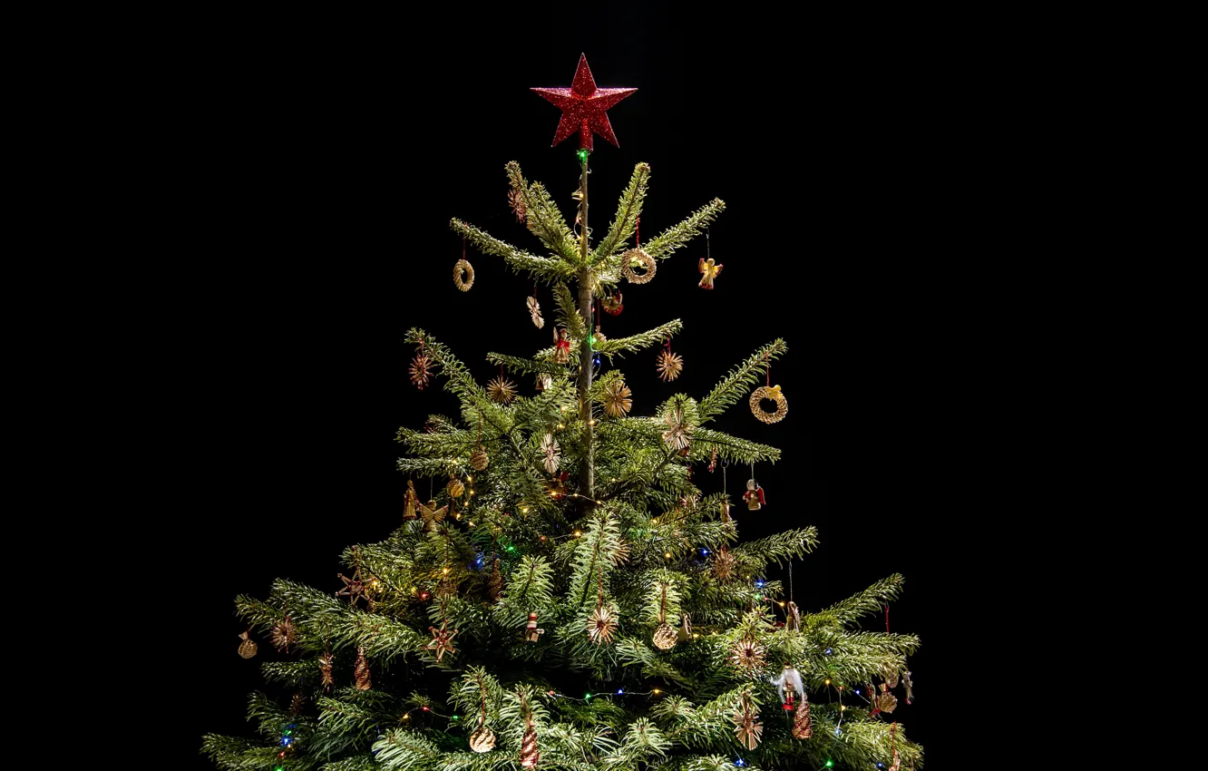 Фото обои праздник, игрушки, звезда, елка