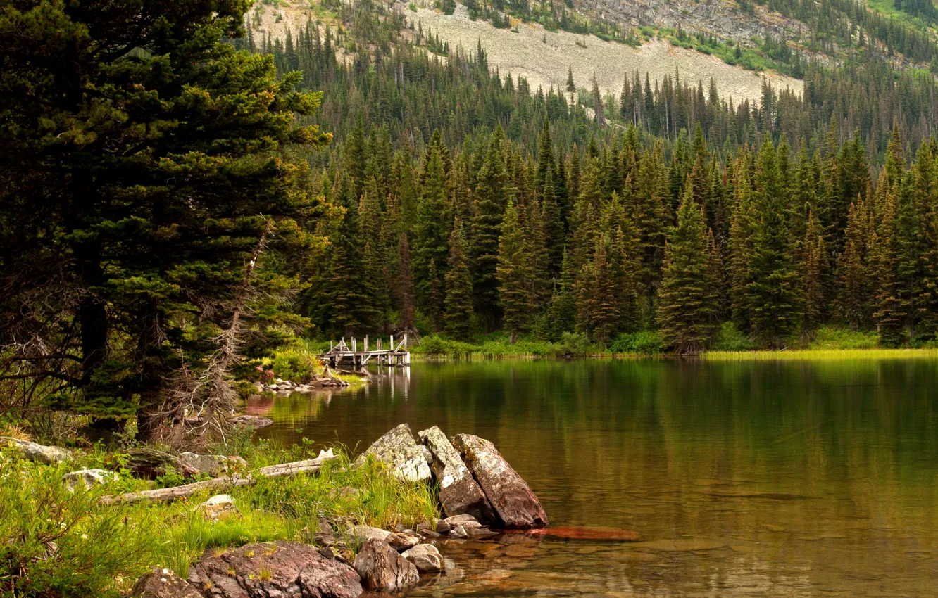 Фото обои лес, трава, деревья, озеро, камни, США, Glacier National Park, Swiftcurrent Lake